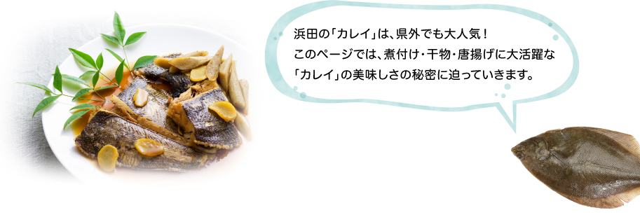 浜田の「カレイ」は、県外でも大人気！