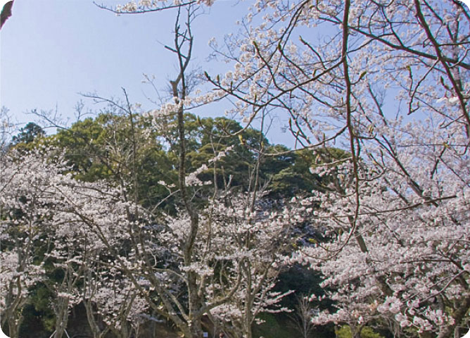 『松坂藩ゆかりの寺院巡り』ウォーキングコース